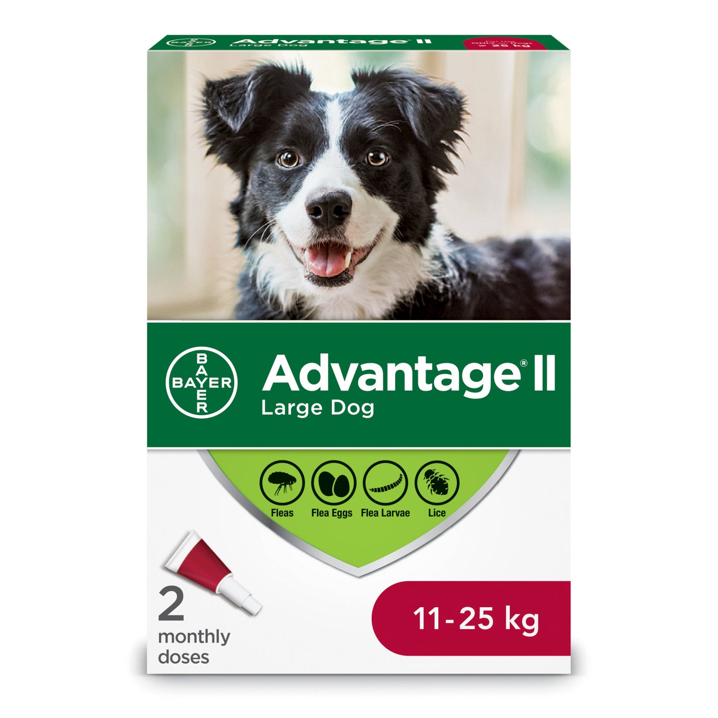 ADVANTAGE II Canine Large Dog (11-25kg) 2 Pack