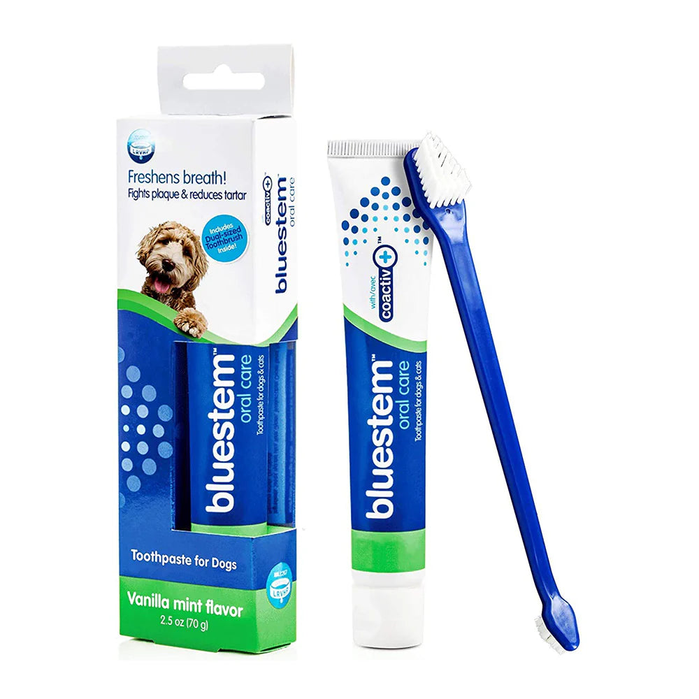 Bluestem Oral Care Vanilla-Mint Flavored Toothpaste & Toothbrush Combo Pack 70g