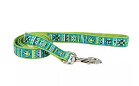 COASTAL Ribbon Nylon Leash Lime Southwest Stars Dog 5/8inx6