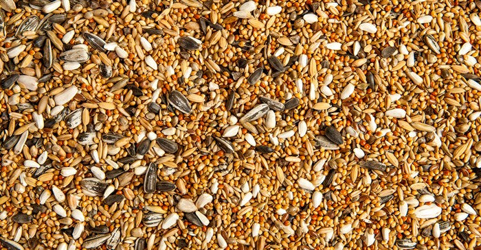 Deluxe Bird Seed 16 KG
