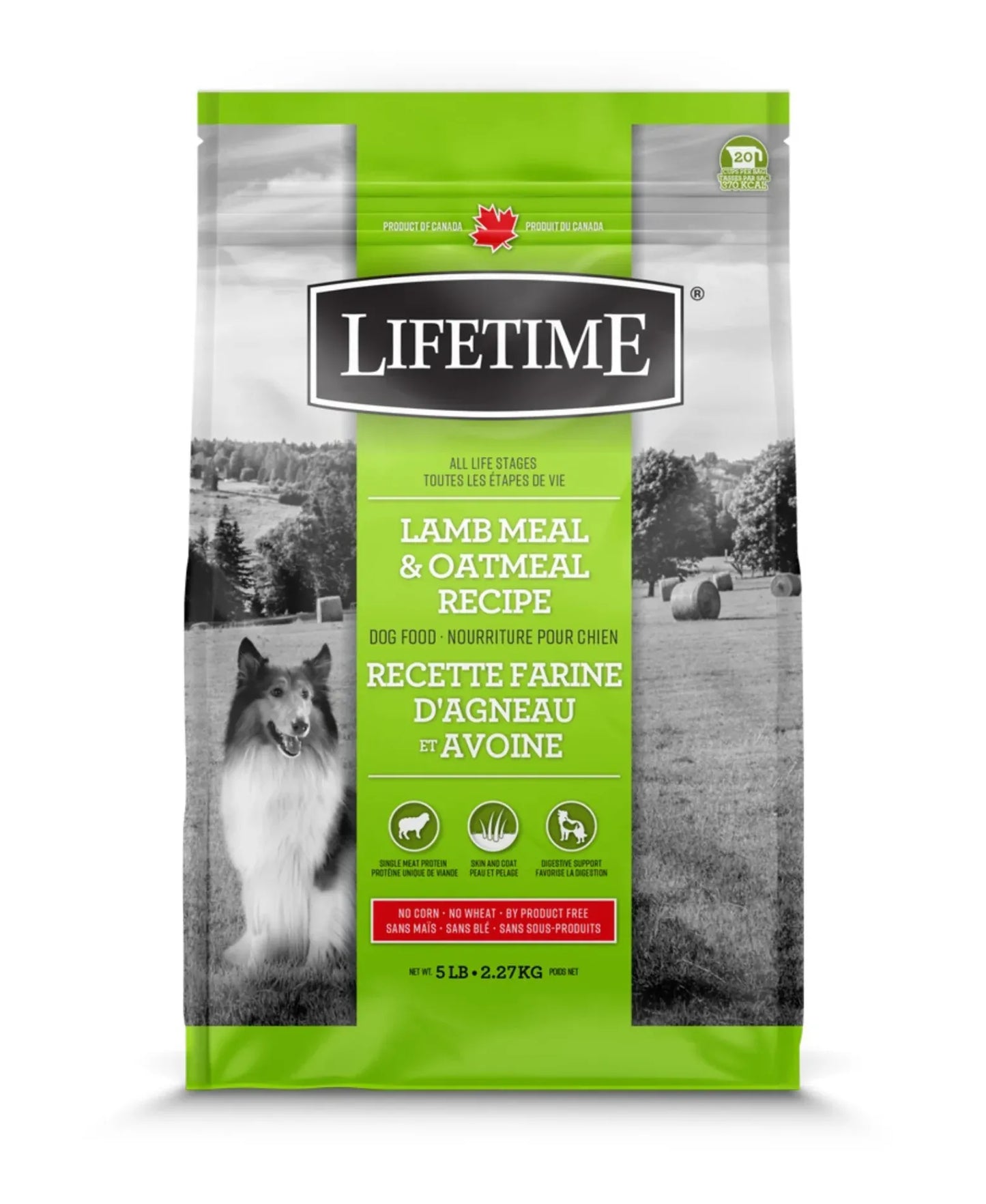 LIFETIME All Stages Dog Food Lamb & Oatmeal 2.27 kg