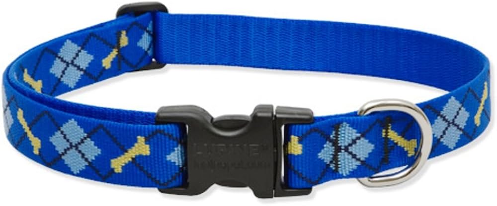 Lupine Combo Collar Dapper Dog - 1" x 15-22"