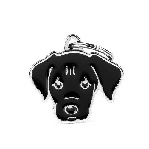 MY FAMILY - Black Labrador