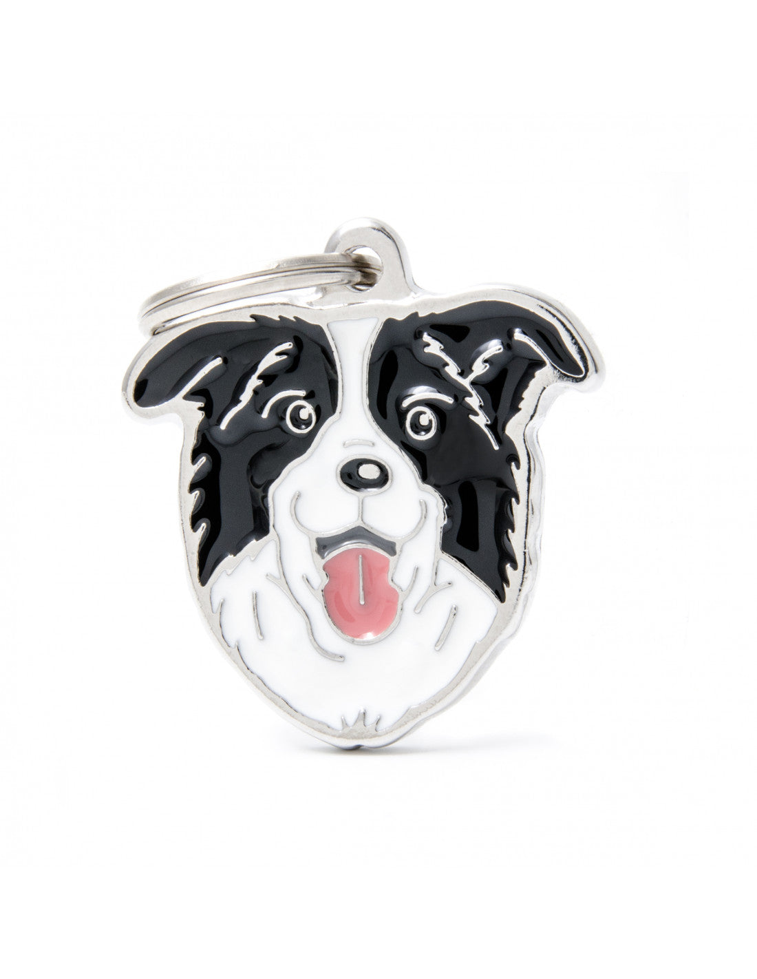 MY FAMILY - Border Collie