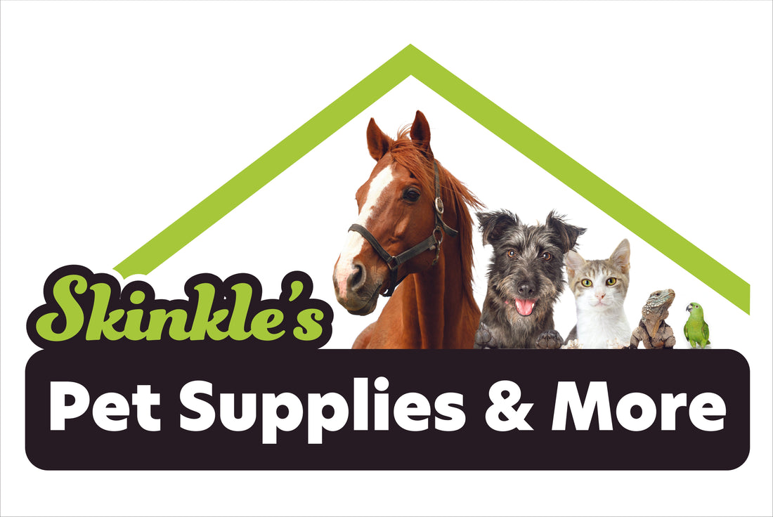 Dental Health & Your Pets