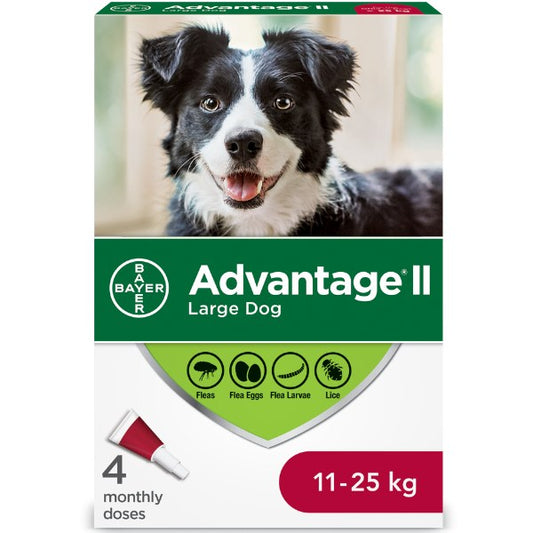 ADVANTAGE II Canine  Large Dog (11 - 25 kg) 4 Pack