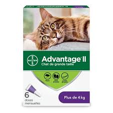 ADVANTAGE II Feline Large Cat (Over 4 kg) 6 Pack