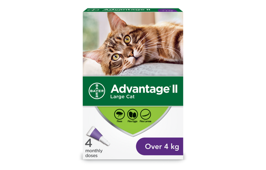 ADVANTAGE II Feline Large Cat (Over 4 kg) 4 Pack