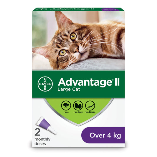 ADVANTAGE II Feline Large Cats (Over 4kg) 2 Pack