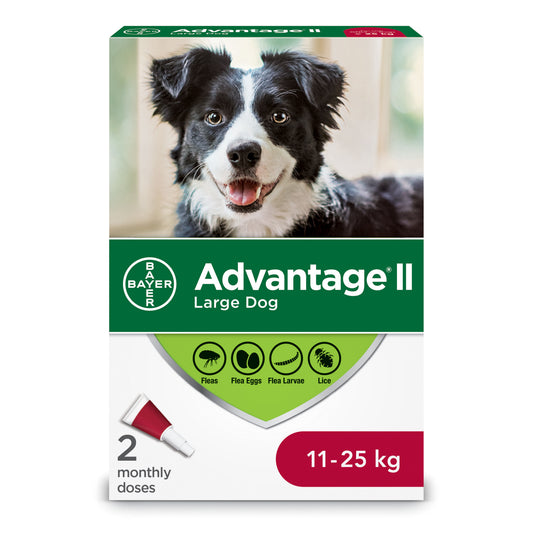 ADVANTAGE II Canine Large Dog (11-25kg) 2 Pack