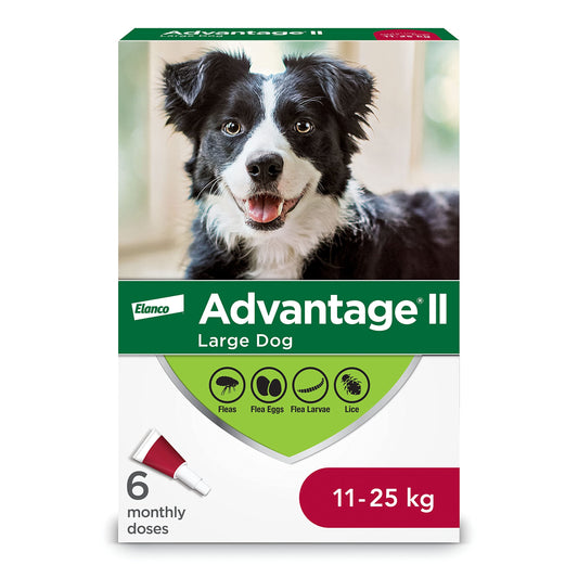 ADVANTAGE II Canine Large Dog (11 - 25 kg) 6 Pack