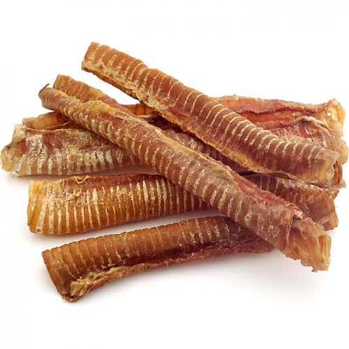 Beef Trachea 12"
