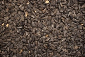 Black Oil Sunflower Seed - 5 lb (Bagged Down)