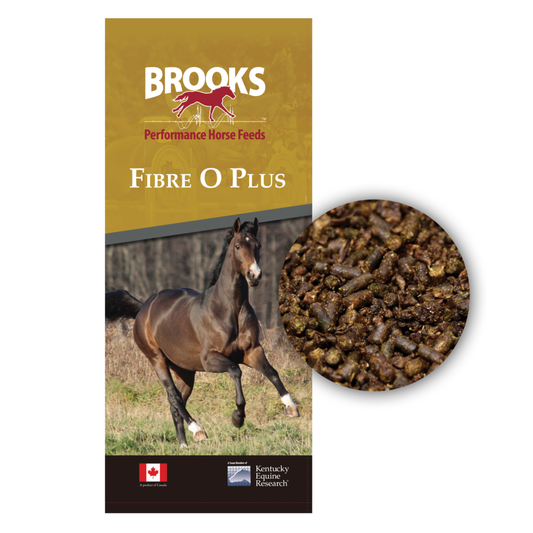 Brooks Fibre Omega Plus - Textured 25kg