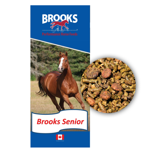 Brooks Senior Horse Feed 20 kg