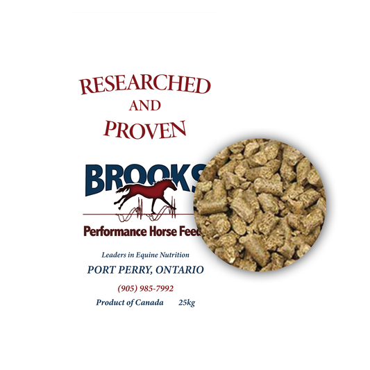 Brooks Fibrelite Chunks Forage Replacer 25 kg