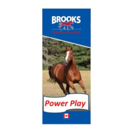 Brooks Power Play