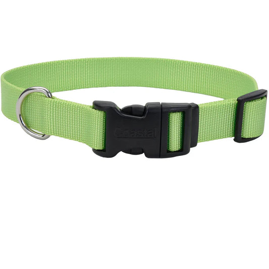 Coastal Adjustable Nylon Collar W Tuff Buckle Lime Dog 1pc 1x14-20in