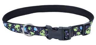 COASTAL - Exclusive Styles Collar - 1" x 14-20" - Aliens