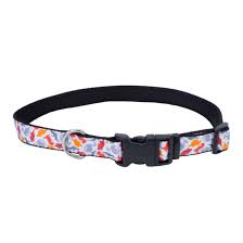 COASTAL - Exclusive Styles Collar - 5/8" x 10-14" - Dinosaurs