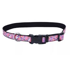 COASTAL - Exclusive Styles Collar - 5/8" x 10-14" - Unicorns
