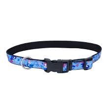 COASTAL - Exclusive Styles Collar - 5/8" x 10-14" - Mermaids