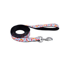COASTAL - Exclusive Styles Leash - 5/8" x 6' - Dinosaurs