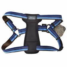 COASTAL K9 Explorer Harness - 12-18" - Sapphire