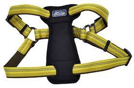 COASTAL K9 Explorer Harness - 20 - 30" - Fern
