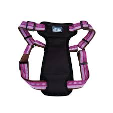 COASTAL K9 Explorer Harness - 26-38" - Berry