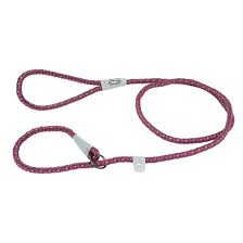 COASTAL K9 Explorer REFLEXTIVE Braided Slip Leash Rosebud  6 ft