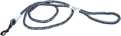 COASTAL K9 Explorer REFLEXTIVE Braided Slip Leash Sapphire  6 ft
