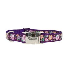 COASTAL Ribbon Adjustable Nylon Collar with Metal Buckle Purple Sketched Floral Dog 1pc 5/8inx12