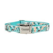 COASTAL Ribbon Adjustable Nylon Collar with Metal Buckle Teal Sktched Abstract Dog 5/8inx12-18