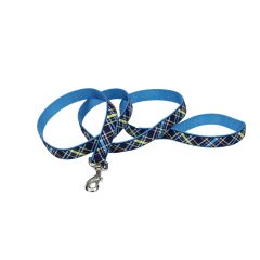 COASTAL Ribbon Nylon Leash Navy Blue Plaid Dog 1pc 1inx6ft