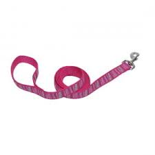 COASTAL Ribbon Nylon Leash Pink Flamingo Stripe Dog 1pc 5/8inx6ft