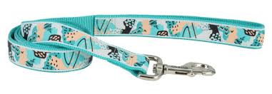 COASTAL Ribbon Nylon Leash Teal Sketch Abstract Dog  5/8inx6'