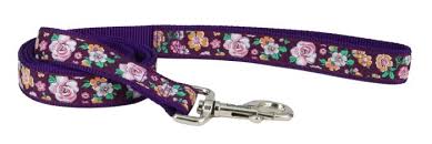 COASTAL Ribbon Nylon Leash Purple Sketch Floral Dog 1pc 5/8inx6