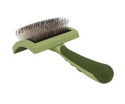 Coastal Safari Flexible Slicker Brush Medium Dog