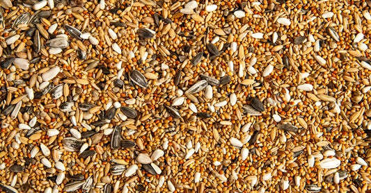 Deluxe Bird Seed 16 KG