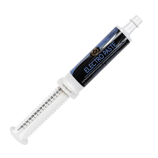 Golden Horseshoe Electro-Paste 80g