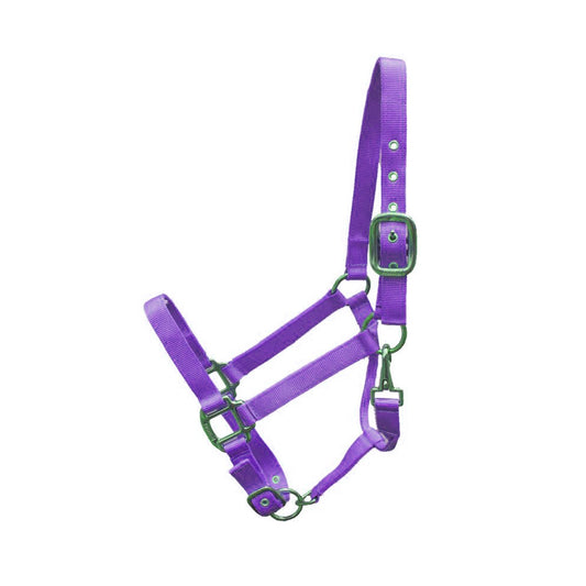 Halter - Nylon Adjustable FULL - Purple