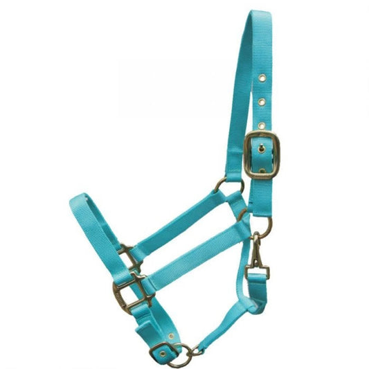 Halter - Nylon Adjustable PONY - Navy