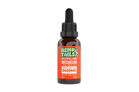 Hemp 4 Tails XLarge Dog