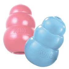 KONG Puppy Medium