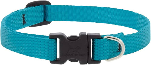 Lupine Basics Adjustable Collar for Dogs Aqua 1" x 16" to 28"