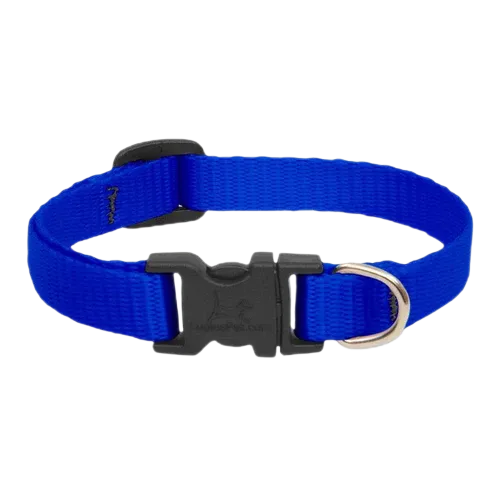 Lupine Basics Adjustable Collar for Dogs Blue 1" x 12" to 20"