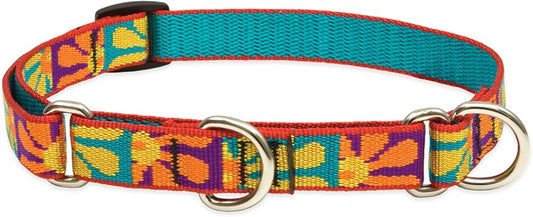 LUPINE - Dog Collar 13-22" - Crazy Daisy