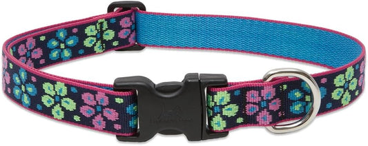 LUPINE - Dog Collar 16-28" -  Flower Power