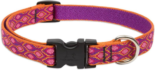 LUPINE - Dog Collar 10-16" - Alpen Glow